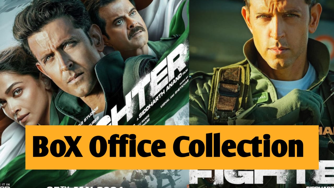 FIGHTER Box Office Collection